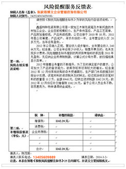 泸定税务服务